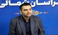 سرپرست شبکه بهداشت ودرمان شهرستان